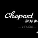 Picture of Chopard Sunglasses _SKUfw23835243fw